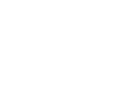 Vault 21