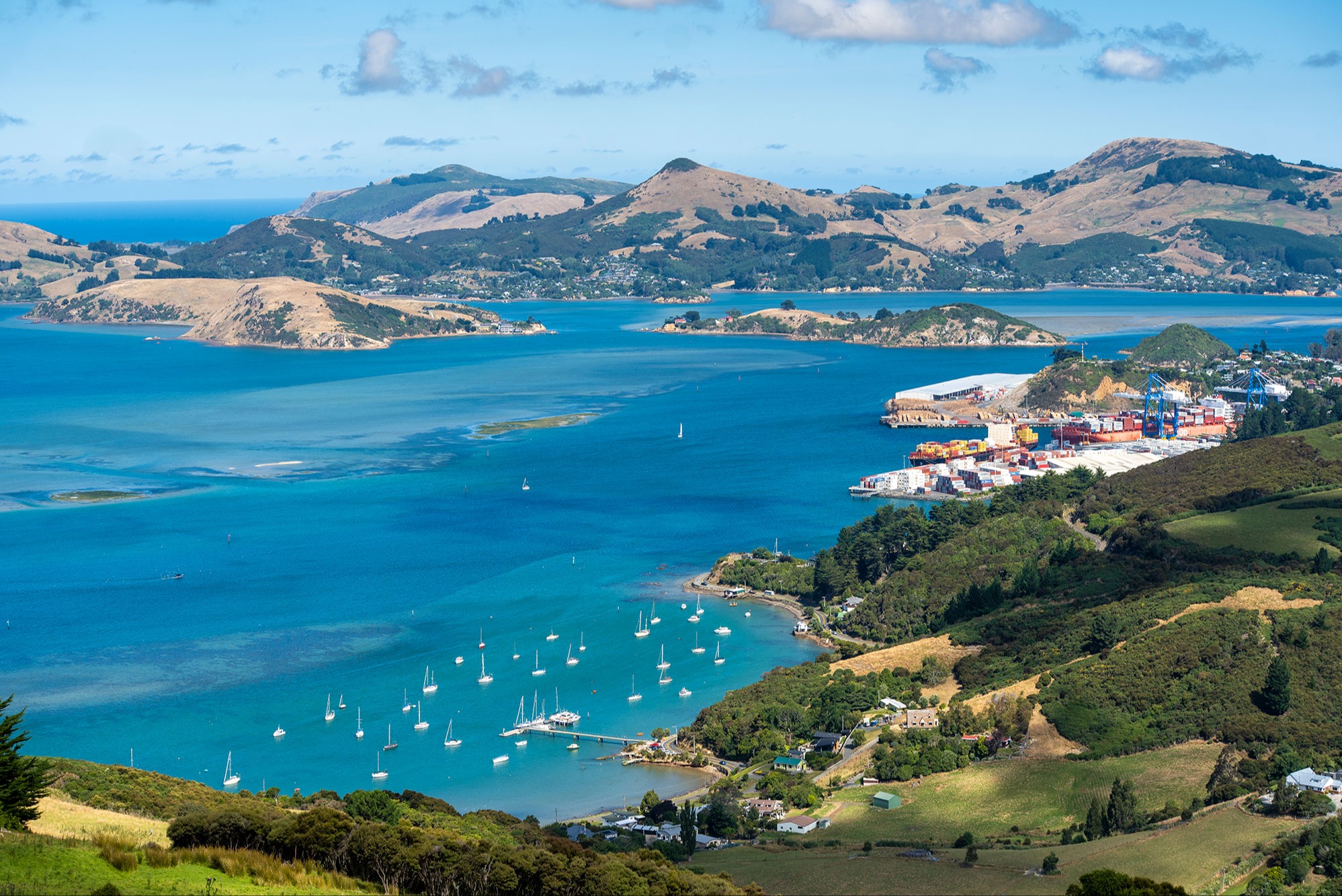 dunedin railways cruise ships