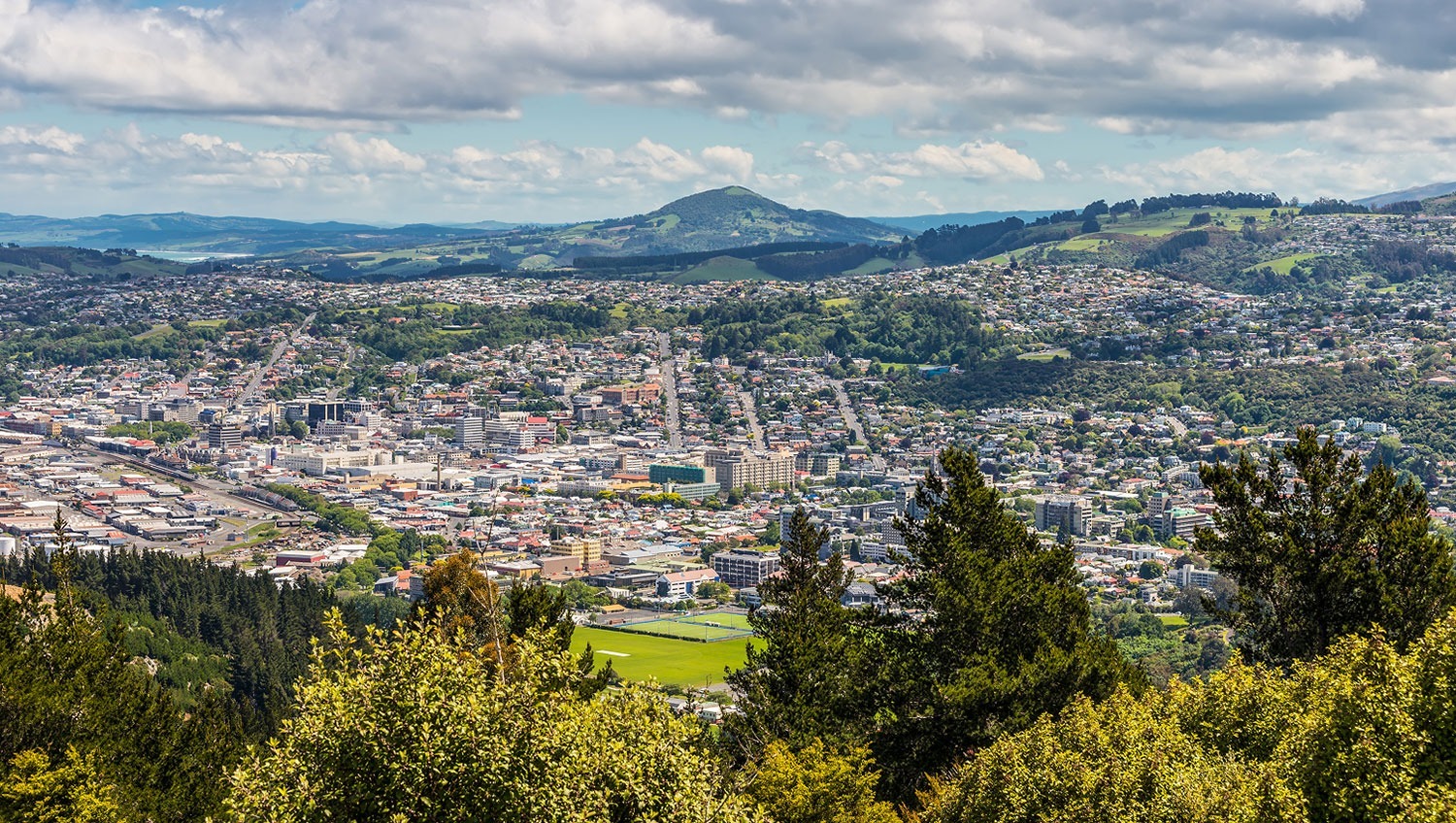future dunedin