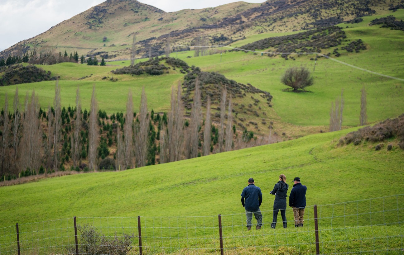 landpro environmental surveying